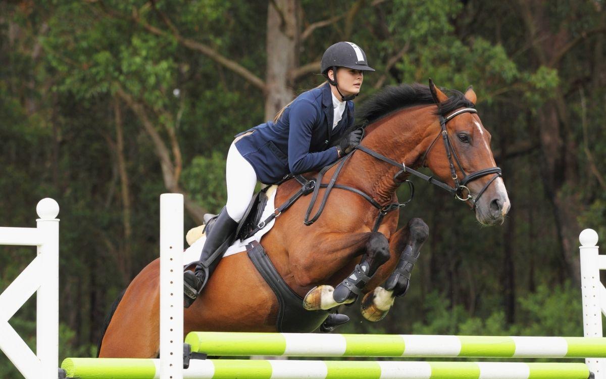 Equine Liability Insurance